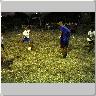 Dscn0187